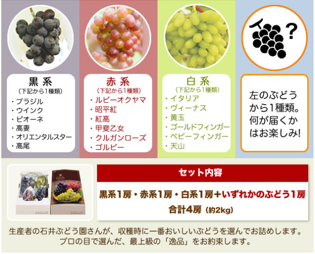 ぶどう詰め合わせ(おまかせ)セット内容