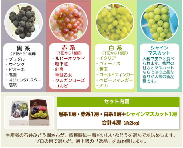 ぶどう詰め合わせ(シャインマスカット)セット内容